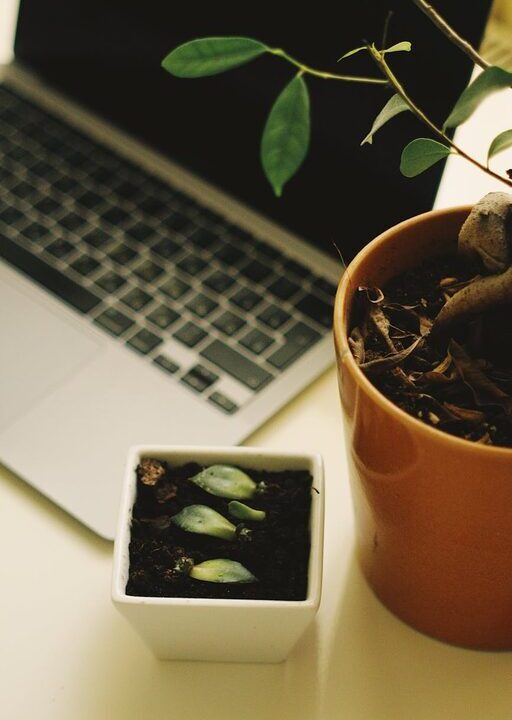 Simple Tips for Creating a Relaxing and Productive Home Office Space
