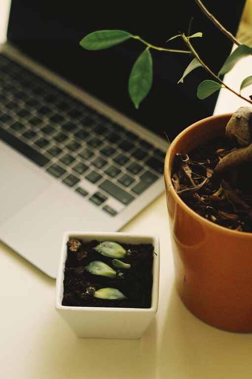 Simple Tips for Creating a Relaxing and Productive Home Office Space