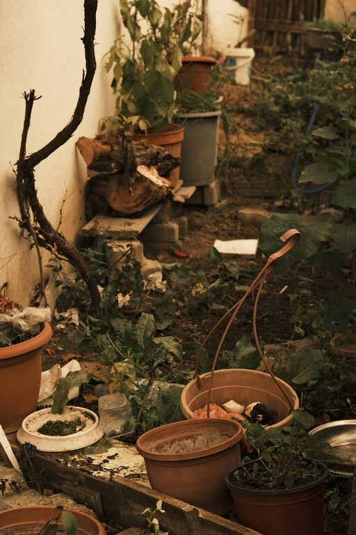 Tips for Creating a Relaxing Garden Space at Home